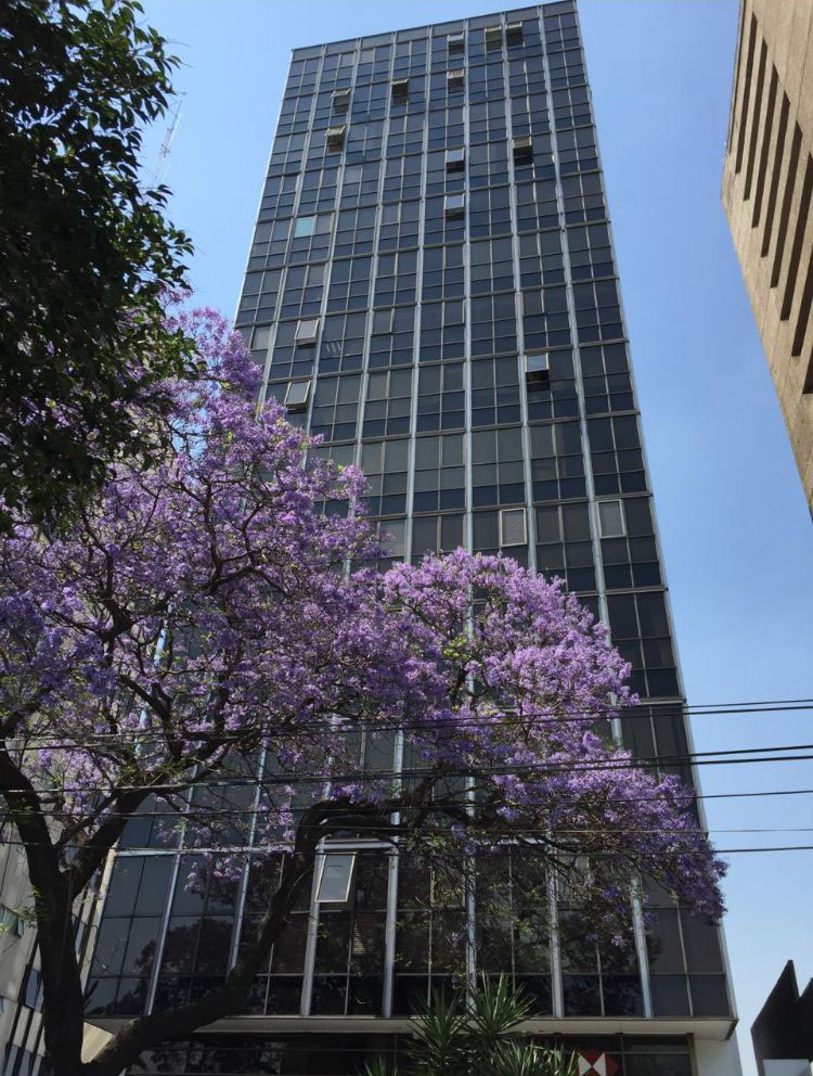 Fachada del edificio de Novadent Palmas en Lomas de Chapultepec